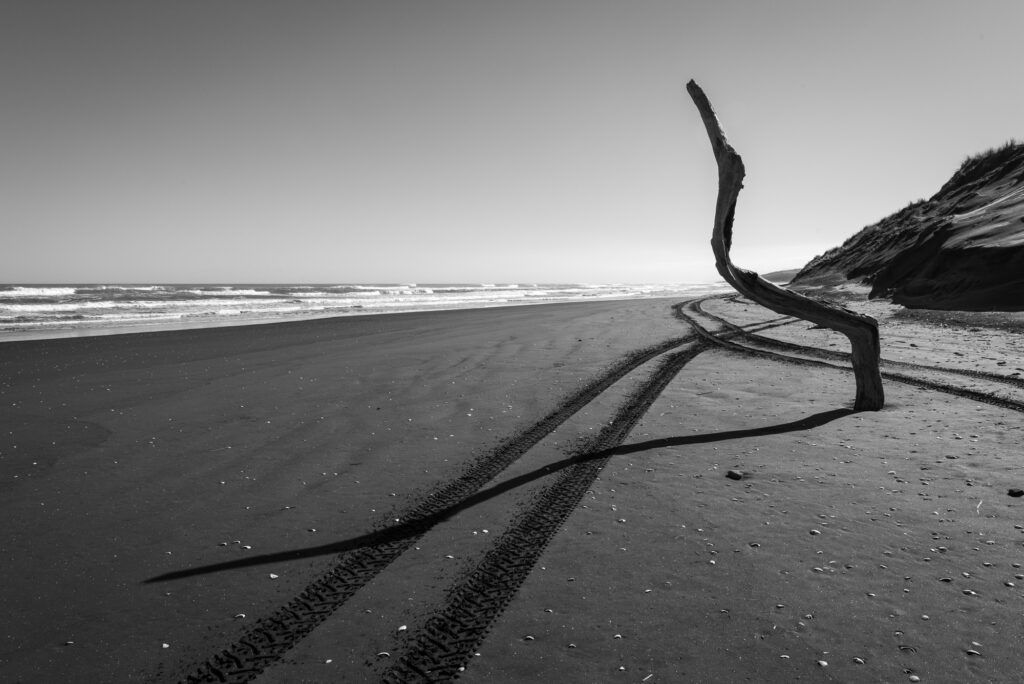 Desolate beach with driftwood and tire tracks