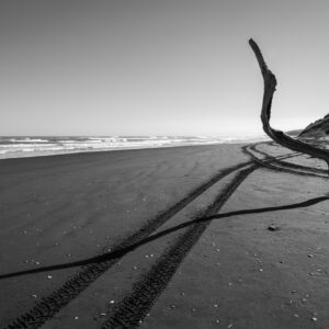 Desolate beach with driftwood and tire tracks